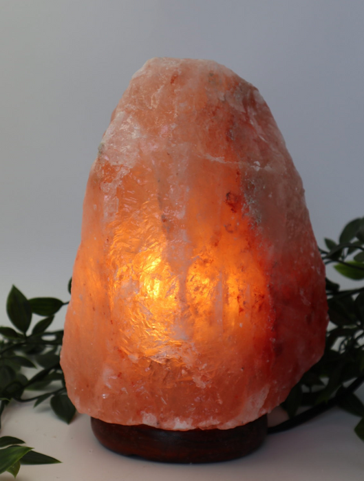 Salt Lamps